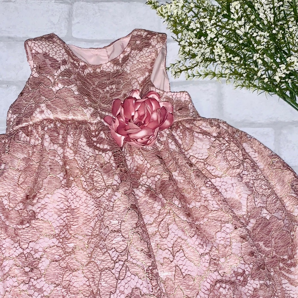 Blush lace 2t girl dress